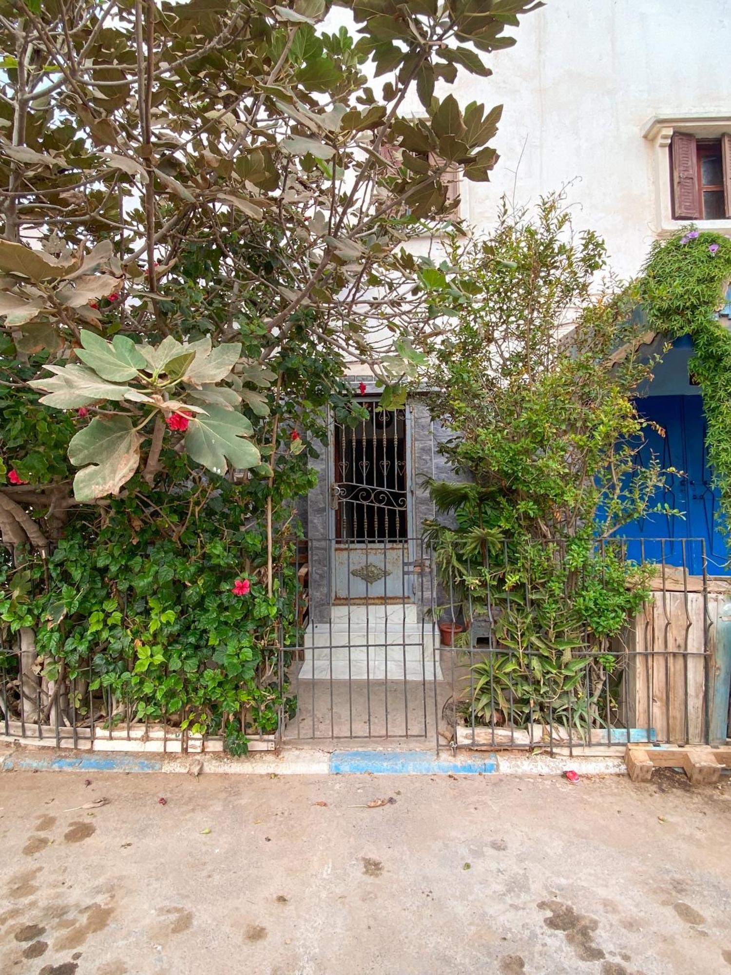 Dallas Private Surf Apartment Agadir Ngoại thất bức ảnh
